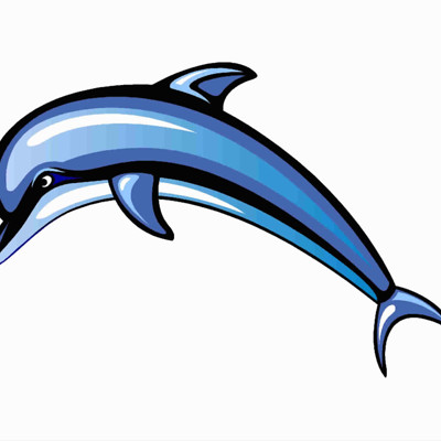 Dolphin